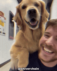 Dog Horror GIF