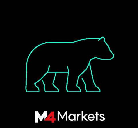 m4markets_marketing giphyupload bear trading bearish GIF
