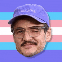 Pedro Pascal Queer GIF by Anne Horel