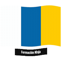Islas Canarias Flag Sticker by Formación Ninja