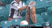 New England Patriots Football GIF by NFL
