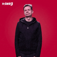 Come On Ok GIF by SWR3