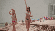 Miami GIF by Voli 305 Vodka