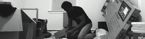 profitpont giphyupload GIF