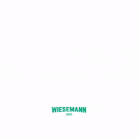 3D Printer GIF by WIESEMANN 1893