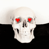 Heart Love GIF by mokkapresti