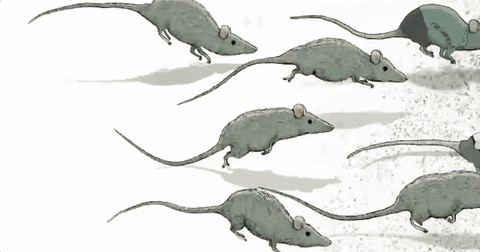 london animation GIF