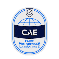 French Sticker by CAE