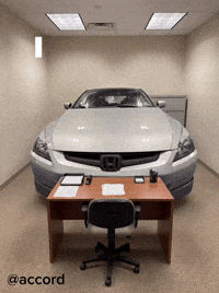 New Job Interview GIF