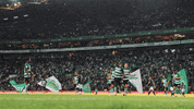 Football Sport GIF by Sporting CP