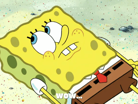 season 6 porous pockets GIF by SpongeBob SquarePants