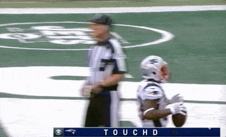 New England Patriots Football GIF by NFL