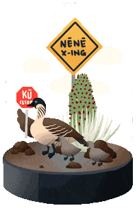 Holiday Crossing Sticker by Hawaiian Airlines