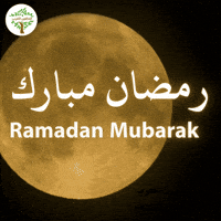 Stars Greeting GIF by VeganArabs