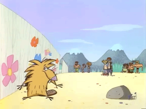 nickrewind giphydvr nicksplat angry beavers giphyab013 GIF