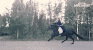 bow and arrow riding GIF by University of Alaska Fairbanks