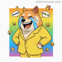 Happy Dog GIF by Doge Pound