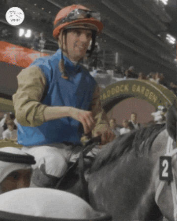 Good Times Yes GIF by World Horse Racing