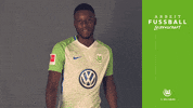 riechedly bazoer bundesliga GIF by VfL Wolfsburg