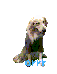 아르르 Sticker by arrr_official