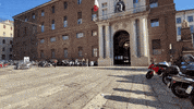 JECatt junior enterprise jecatt jecatt milano GIF