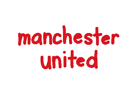 Premier League Football Sticker