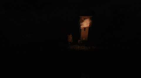 Barrybogs giphyupload GIF
