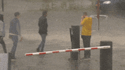 Sport GIF by FOX Sports
