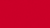 Leon Radosevic Center GIF by FC Bayern Basketball