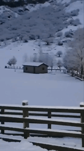 Cold Front Brings Snow to Spain