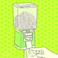 Art Blaze It GIF by Animation Domination High-Def