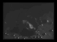 charlespieper film black and white ghost cinema GIF