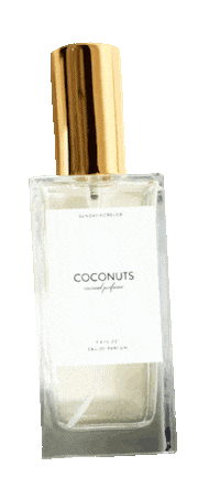 Gold Coco Sticker by Sunday Forever