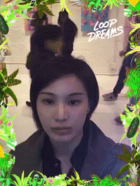 loopdreams by Loop Dreams GIF Booth