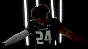 Old Dominion Sport GIF by ODU Football