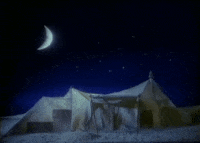 loves_in_vogue peter murphy GIF