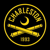 South Carolina Dancing GIF by Charleston Battery