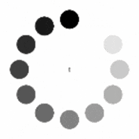 TeecCampeche  GIF