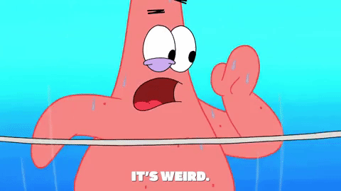 episode 1 GIF by SpongeBob SquarePants