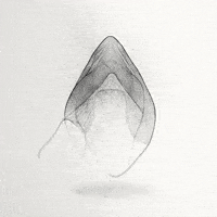 Visual Art Dancing GIF by RedefineTheObvious
