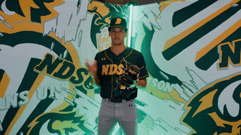 Baseball Bison GIF by NDSU Athletics