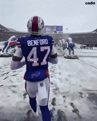 Buffalo Bills Nfl GIF