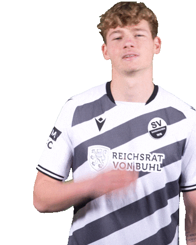 3Liga Wirechtanders Sticker by SV Sandhausen