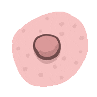 woman piercing Sticker