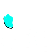 beezlebrands beezle GIF