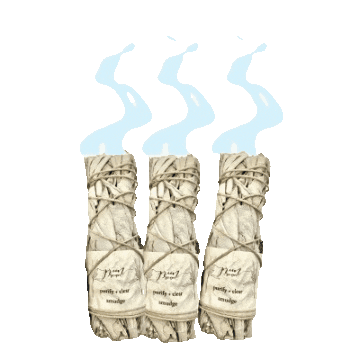 Primnproperco giphyupload sage prim primnproperco Sticker