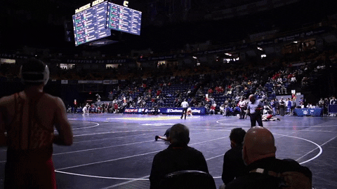 Wrestling Scuffle GIF by Chattanooga Mocs