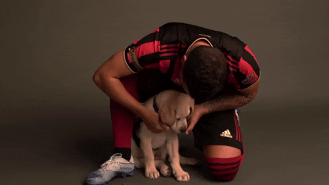 Dog Soccer GIF by Atlanta United
