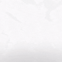 Hockey Eisbaeren GIF by Eisbären Berlin