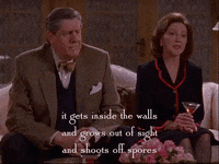 season 2 netflix GIF by Gilmore Girls 